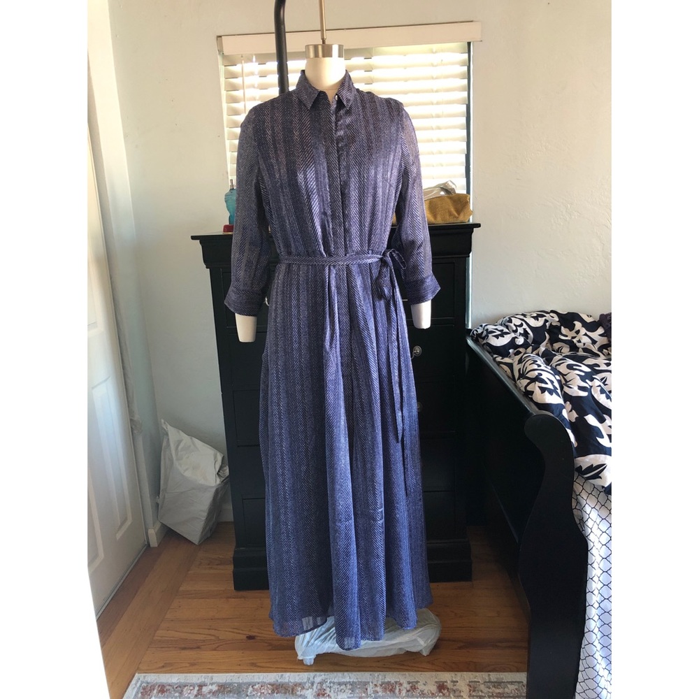 NWT Banana Republic maxi dress. Long sheer sleeves. Worn once, no stain.
